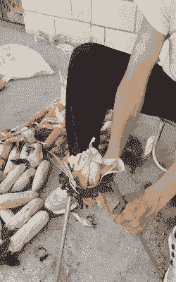 吉林用什么播玉米