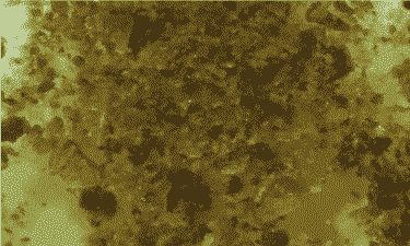 鱼粉掺假掺的什么