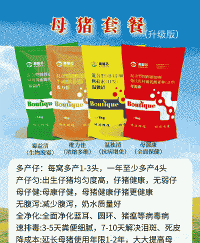 母猪吃什么快速补钙