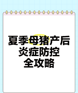 母猪预防产后炎症