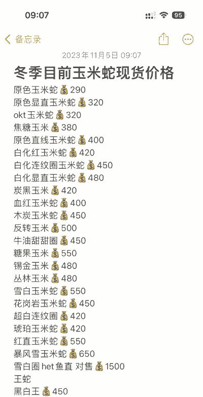 深圳蛇口玉米什么价格