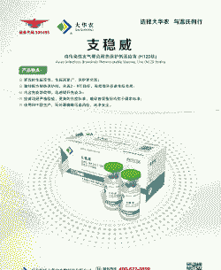 鸡肺炎用什么药