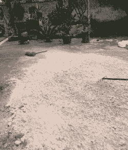 利用豆渣养殖什么好