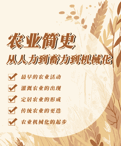 农业发展什么回本快