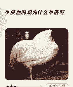 小鸡为什么不吃饭