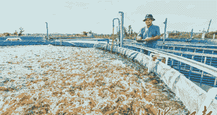 海口养殖什么地方