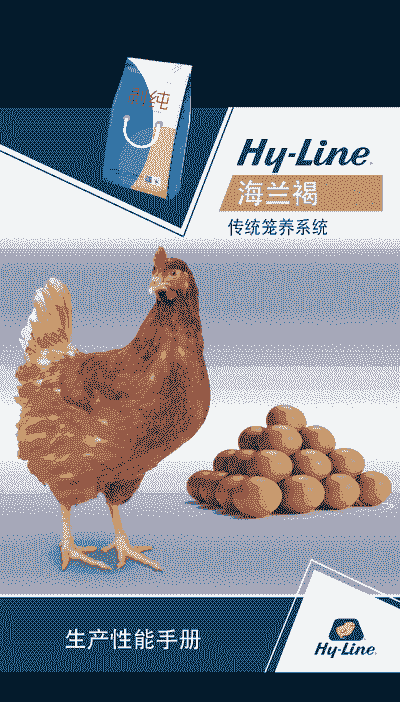 笼养鸡什么品种好