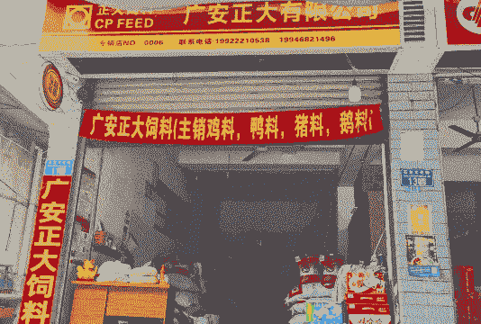 饲料销售是什么行业