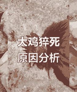 肉鸡趴着死什么病