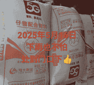 饲料玉米是什么品种