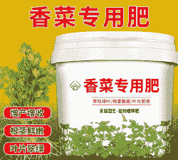 种香菜上什么底肥