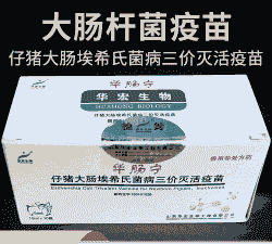 仔猪腹泻打什么疫苗