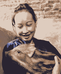 什么饲料养野猪便宜