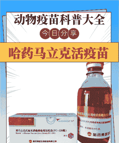 鸡用什么疫苗好