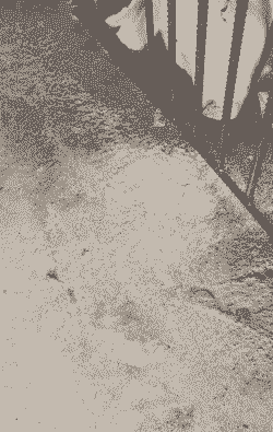 仔猪拉稀呕吐什么病