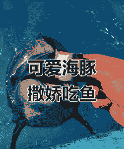 海豚都吃什么鱼