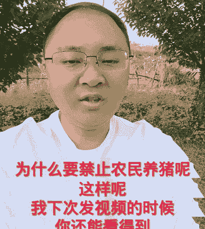 为什么要限制养猪