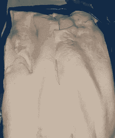 给猪吃什么长膘