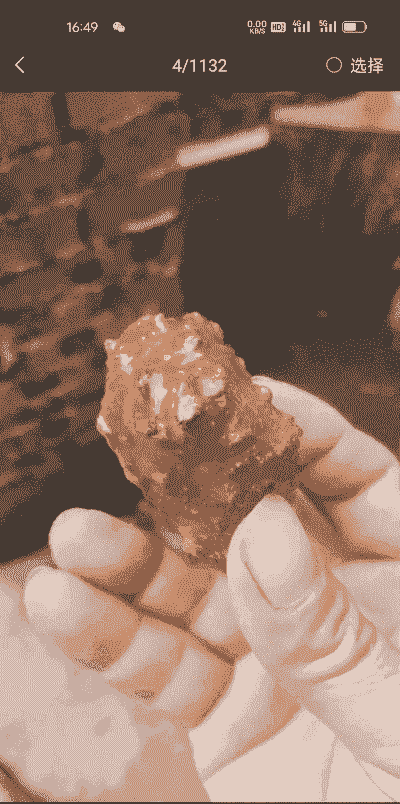 为什么公羊得结石