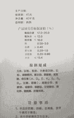 种鸽营养饲料是什么