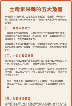 养鸡为啥有什么坏处