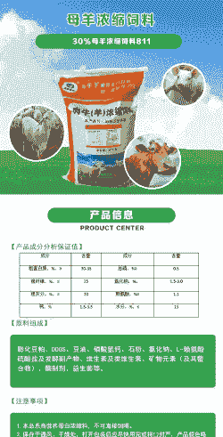 母羊喂什么饲料好