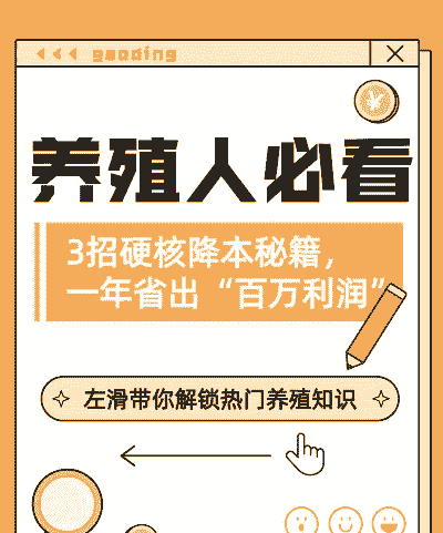 用什么代替饲料喂猪