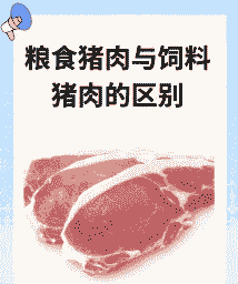 猪吃什么代替饲料