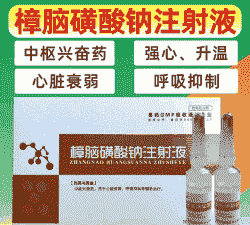 猪体温低什么药