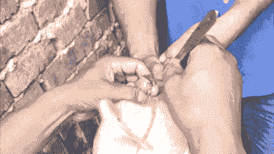 为什么猪要阉掉