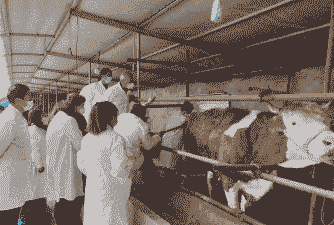 牛羊养殖上什么学校