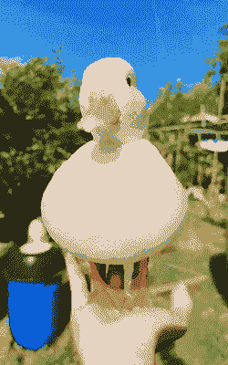 什么品种的鸭子最贵