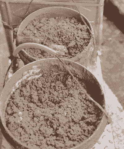 米糠能做什么饲料