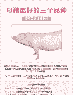 选母猪什么品种最好