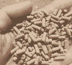 饲料豆粕什么料