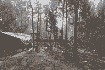 目前养殖什么最有前景