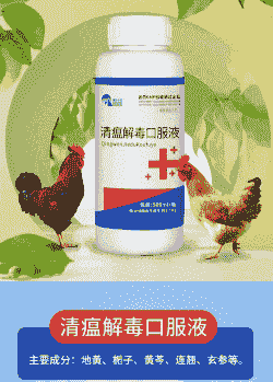 鸡解毒用什么药