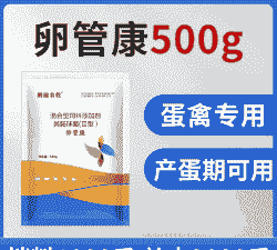 鸡下蛋用什么药