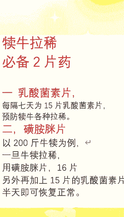 肉牛喂喂什么预防拉稀