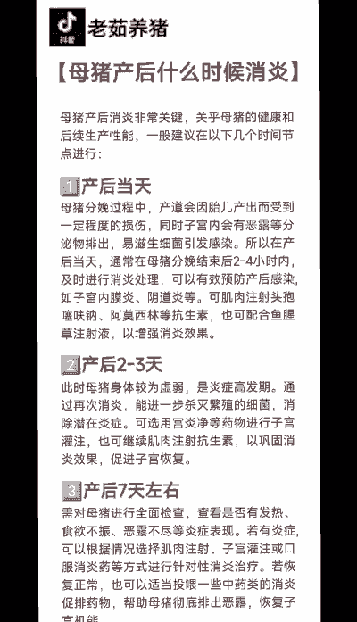 母猪产后多久可以