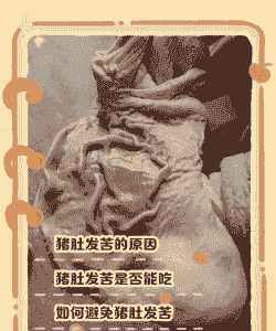 猪肚经常发胀什么病