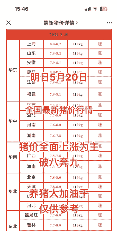 肥猪价什么时 上涨