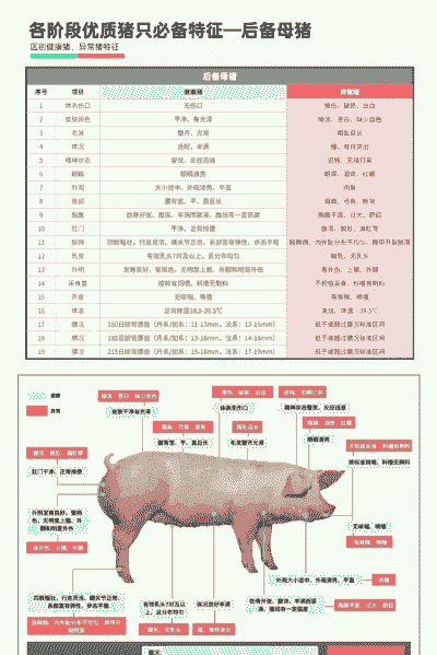 猪场引种属于什么分类