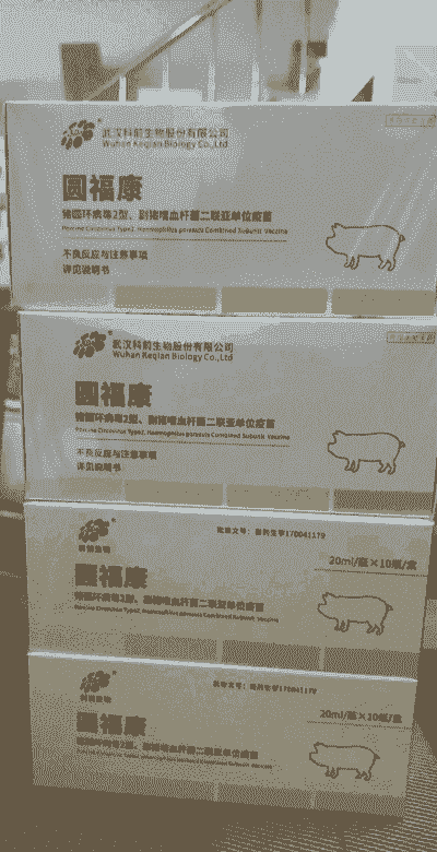 什么副猪疫苗好