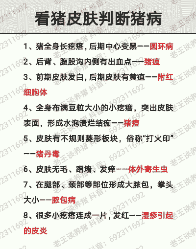 猪病诊断看什么