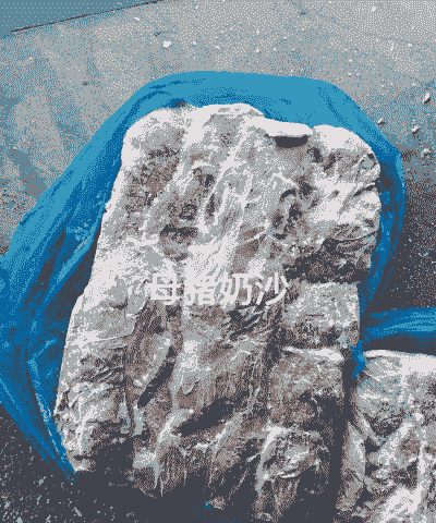 母猪缺钙吃什么最好