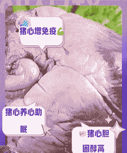 猪吃什么容易中毒