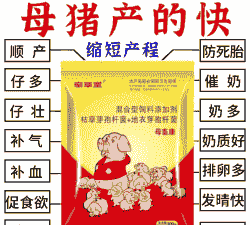 猪难产用什么药