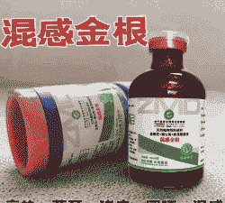 猪高热用什么药