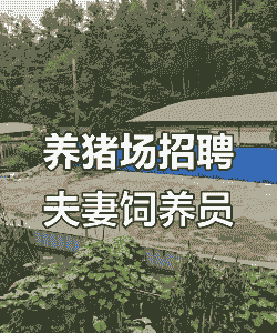 农民养猪找什么部门